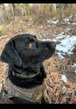 Load image into Gallery viewer, KT Team Nine Line “Be Relentless Isabell Black Lab" T-Shirt