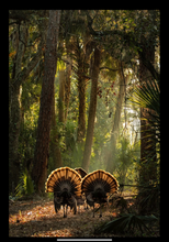Load image into Gallery viewer, KT Team Gift Card
