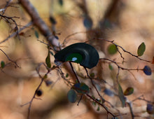 Load image into Gallery viewer, KT Team Custom Turkey Call “Wishbone”
